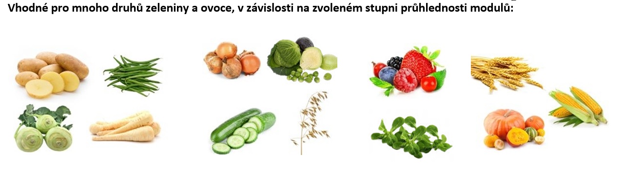 zelenina1